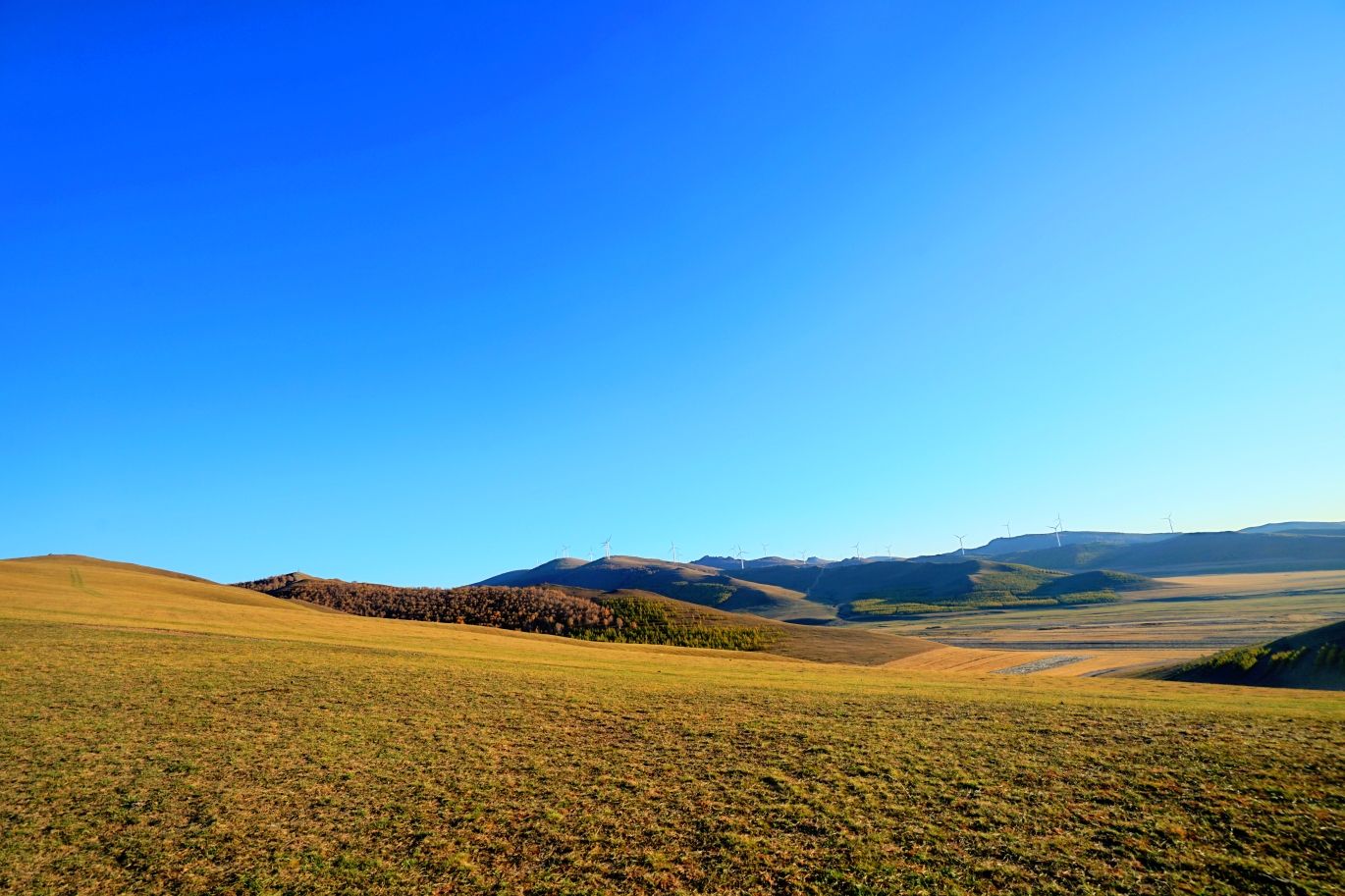 十一豐寧壩上秋意濃